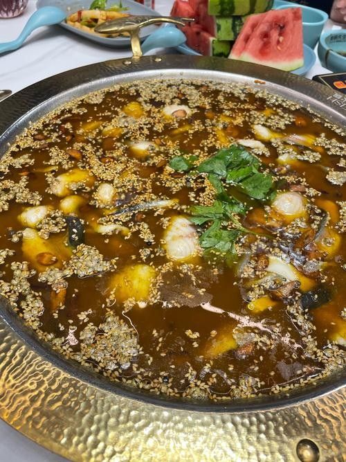 有哪些免費的鱘龍魚高清圖片？（免費鱘龍魚高清圖片來源）