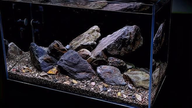 60公分魚缸造景建議