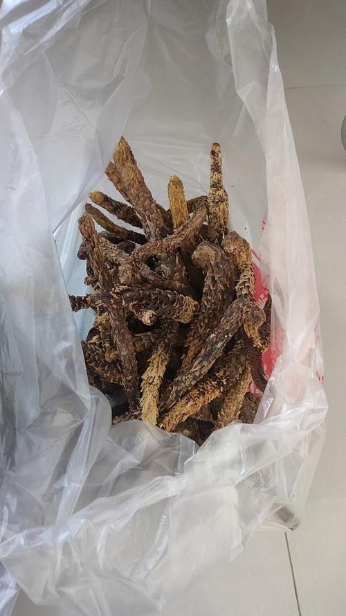 和田于田縣十大特產(chǎn)（和田于田縣十大特產(chǎn)圖匠-和田縣十大特產(chǎn)）