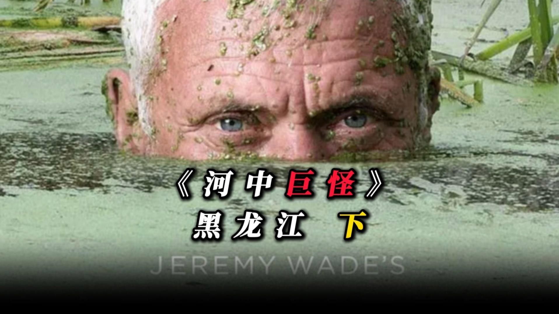 達日龍魚（養魚小藝，達日龍魚的市場價格是多少？）