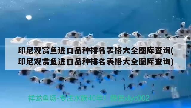 印尼觀賞魚進(jìn)口品種排名表格大全圖庫查詢(印尼觀賞魚進(jìn)口品種排名表格大全圖庫查詢)