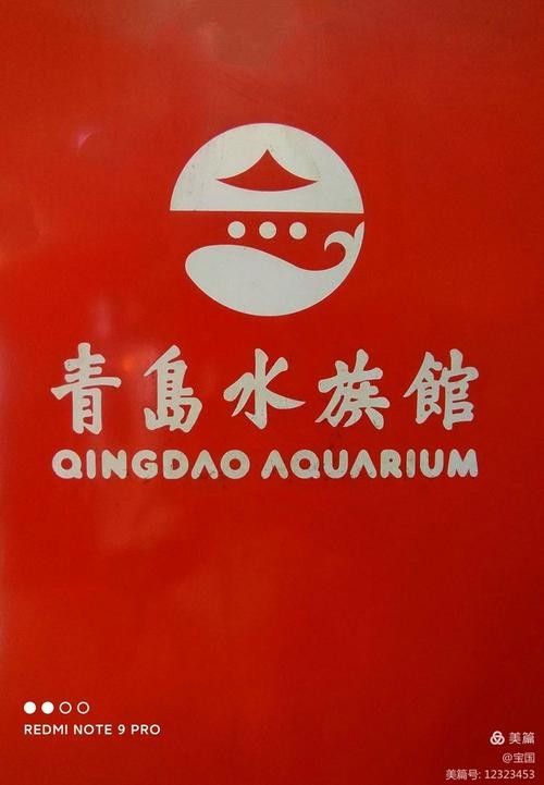 青島龍魚專賣店哪家服務(wù)最好（青島龍魚專賣店）