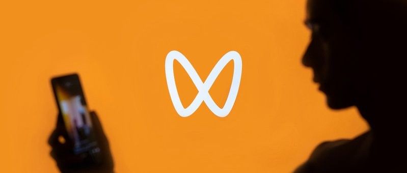 動態誘餌策略有哪些成功案例（動態誘餌策略在哪些領域應用最廣泛？）