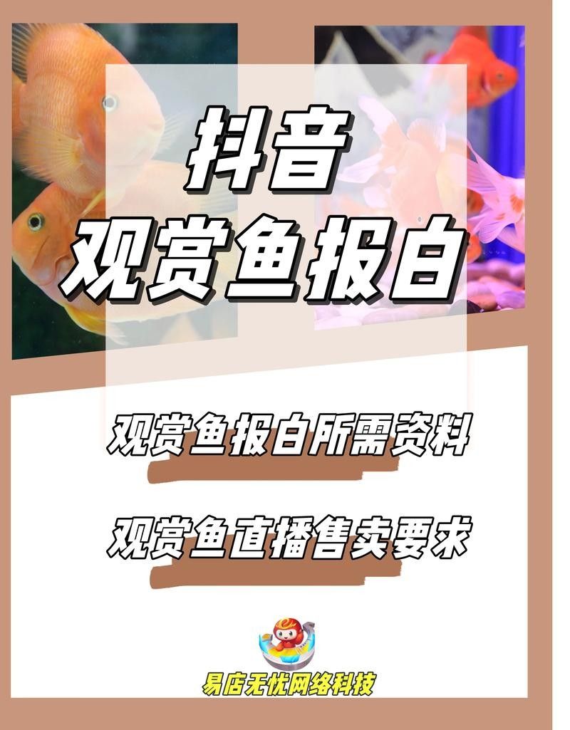 如何聯系水族館或觀賞魚交易平臺？（北京集鼎龍水族商貿有限公司網上買觀賞魚哪個平臺好）