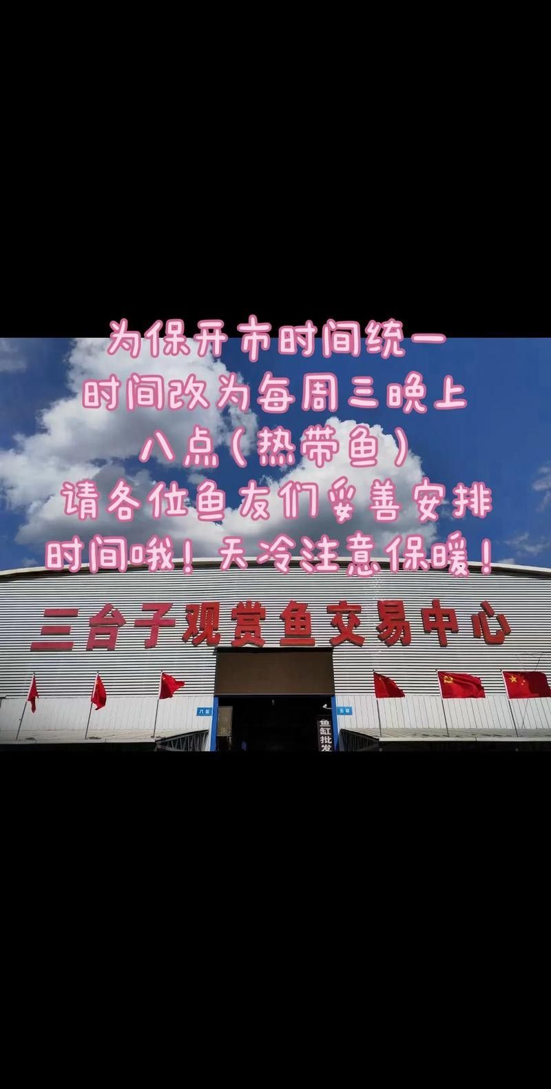 如何聯系水族館或觀賞魚交易平臺？（北京集鼎龍水族商貿有限公司網上買觀賞魚哪個平臺好）