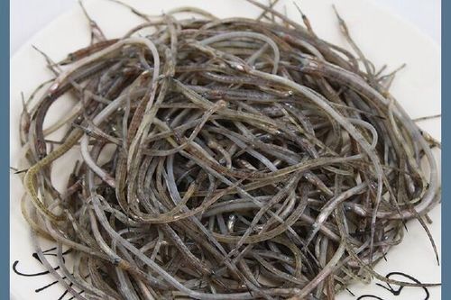 馬龍龍魚屬于什么檔次（一條龍魚大概要多少錢）