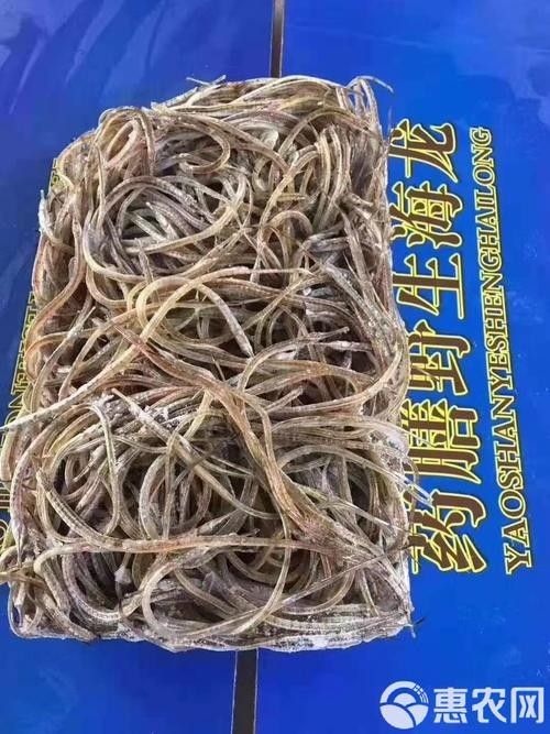馬龍龍魚屬于什么檔次（一條龍魚大概要多少錢）