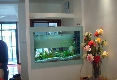 金龍魚適宜水溫調(diào)節(jié)方法（金龍魚的水溫應(yīng)該如何監(jiān)控，）