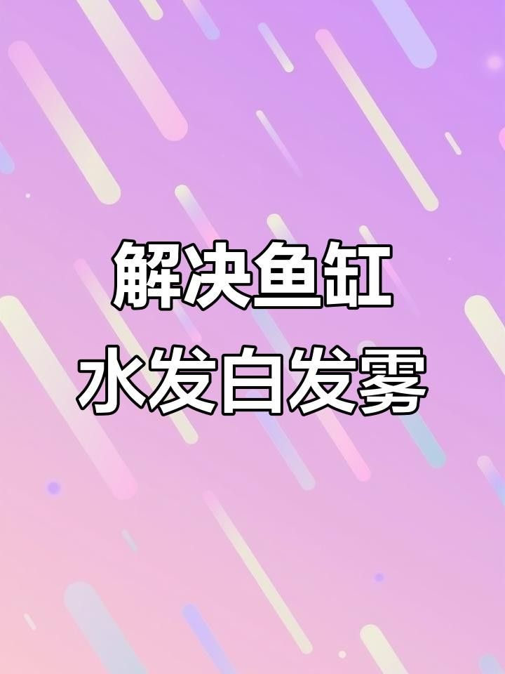因為水質龍魚發白怎么辦