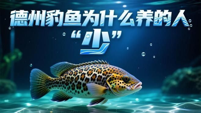 德州豹魚和鸚鵡魚可以混養嗎（德州豹魚和鸚鵡魚可以混養嗎德州豹魚和鸚鵡魚可以混養嗎）