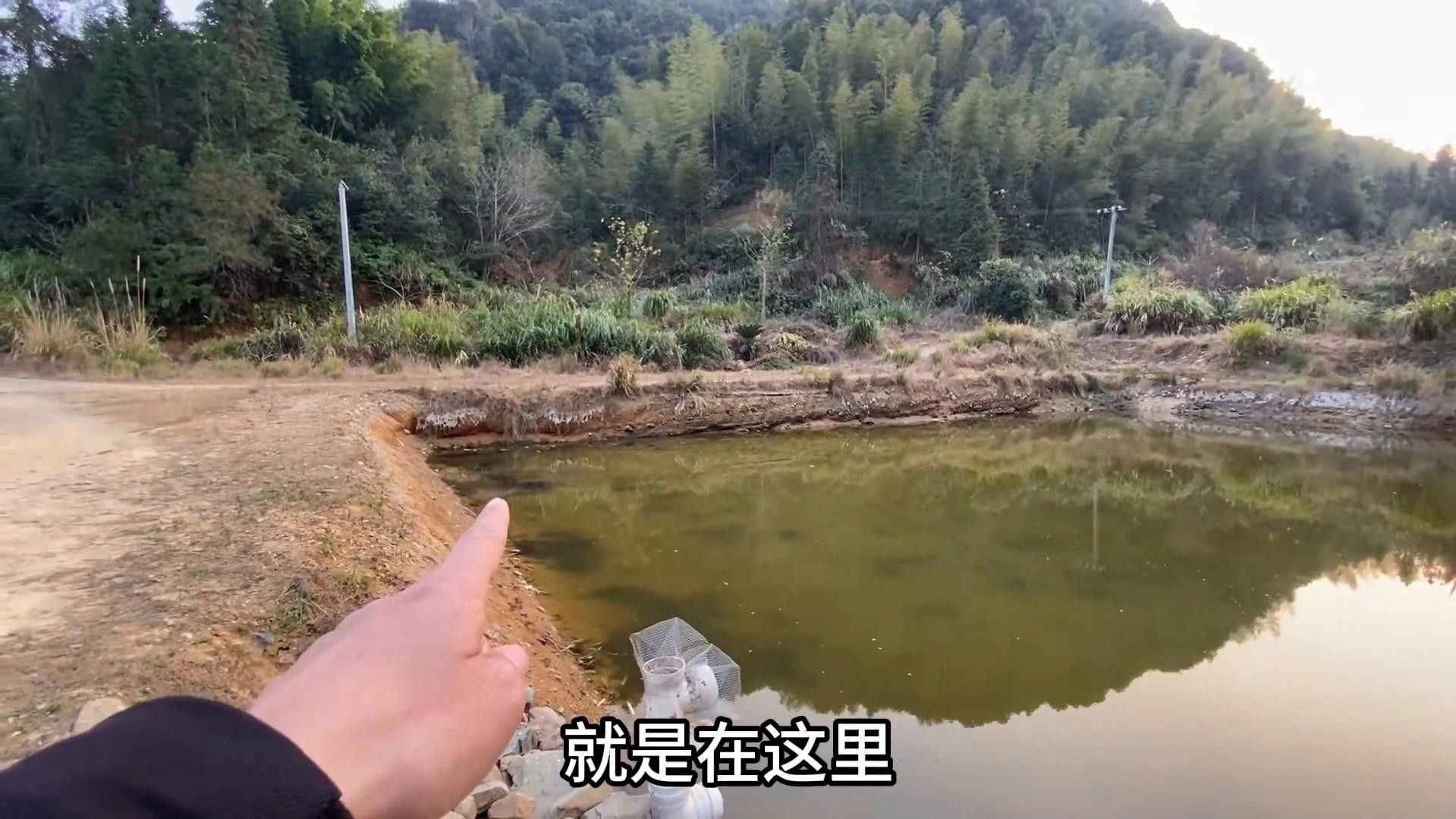 雷龍魚繁殖周期是多久？（關于雷龍魚的繁殖周期的一些基本信息） 雷龍魚繁殖周期是多久？（關于雷龍魚的繁殖周期的一些基本信息） 龍魚百科 第2張