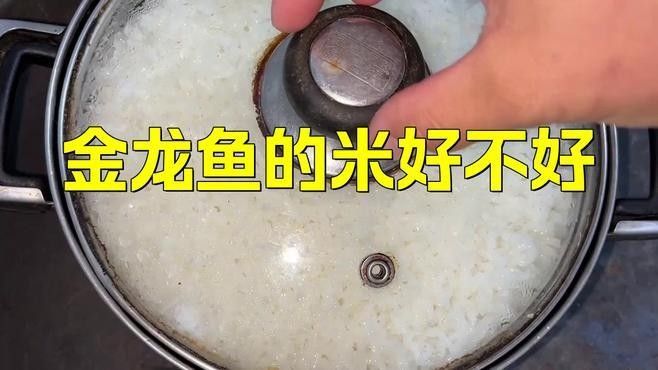 金龍魚生態稻5kg的口感如何？（金龍魚生態稻5kg口感如何） 金龍魚生態稻5kg的口感如何？（金龍魚生態稻5kg口感如何） 龍魚百科 第7張