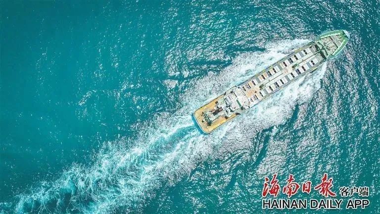 海口龍魚養殖需要哪些手續（在海口養殖龍魚需要辦理什么手續） 海口龍魚養殖需要哪些手續（在海口養殖龍魚需要辦理什么手續） 龍魚百科 第2張
