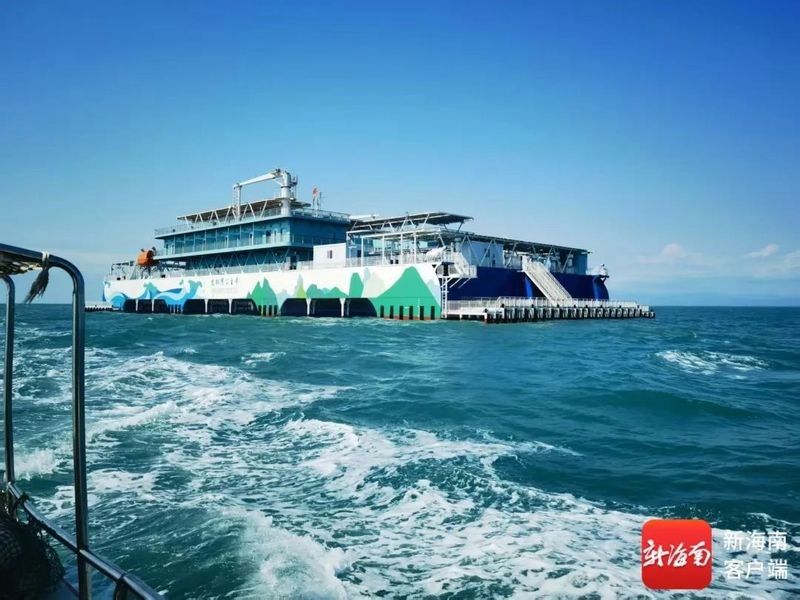 海口龍魚養殖需要哪些手續（在海口養殖龍魚需要辦理什么手續） 海口龍魚養殖需要哪些手續（在海口養殖龍魚需要辦理什么手續） 龍魚百科 第3張