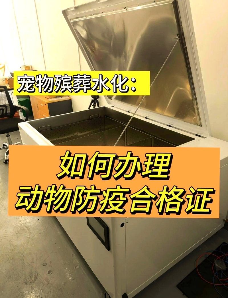 海口龍魚養殖需要哪些手續（在海口養殖龍魚需要辦理什么手續） 海口龍魚養殖需要哪些手續（在海口養殖龍魚需要辦理什么手續） 龍魚百科 第7張