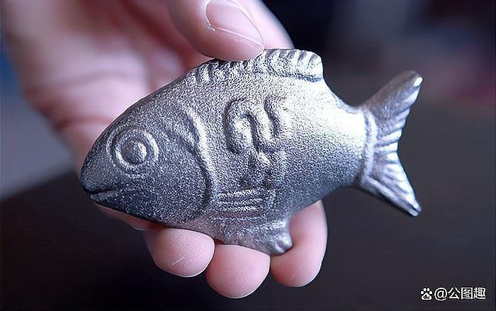 鐵魚圖片（半月斗魚的特征與養護指南全面解讀鐵魚的養殖方法）