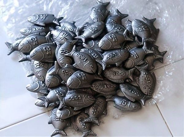 鐵魚圖片（半月斗魚的特征與養護指南全面解讀鐵魚的養殖方法）