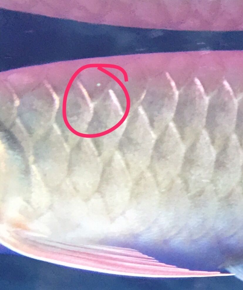 各位大師來看看（人工智能、量子計算、生物技術的突破性進展正在重塑我們的世界）