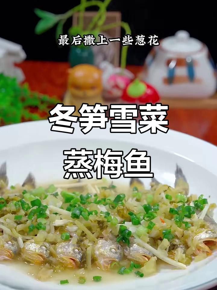 梅鱭魚（梅鱭魚為什么被稱為“貢魚”梅鱭魚的營養價值）