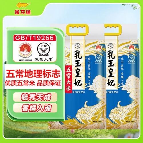 武城金龍魚最貴的是哪一種 武城金龍魚最貴的是哪一種 觀賞魚百科 第5張