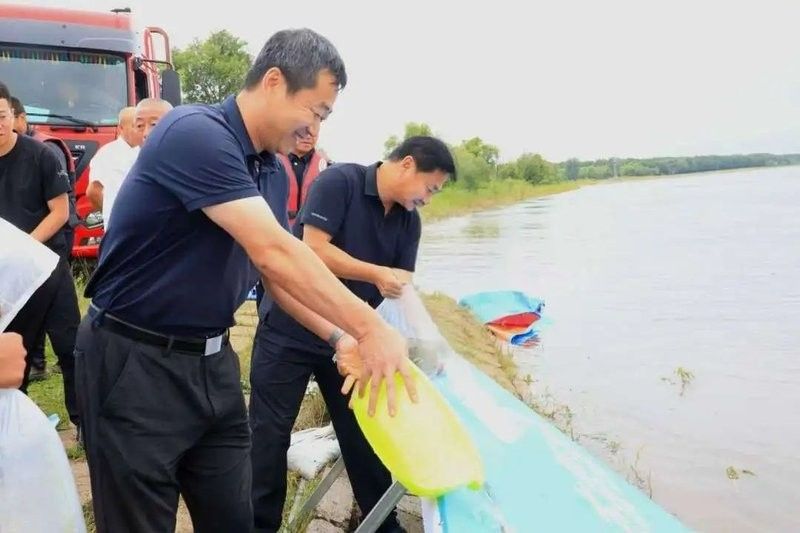 綏濱縣鳳龍魚行有龍魚活體銷售嗎