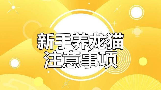 龍貓放風后如何清潔？（如何正確清潔龍貓） 龍貓放風后如何清潔？（如何正確清潔龍貓） 龍魚百科 第7張