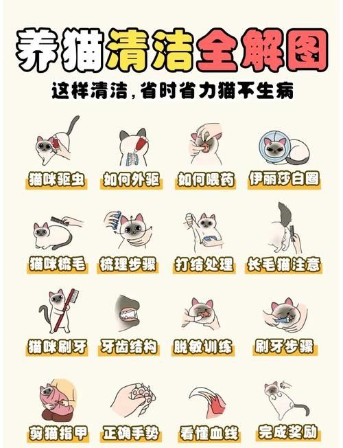 龍貓放風后如何清潔？（如何正確清潔龍貓） 龍貓放風后如何清潔？（如何正確清潔龍貓） 龍魚百科 第6張
