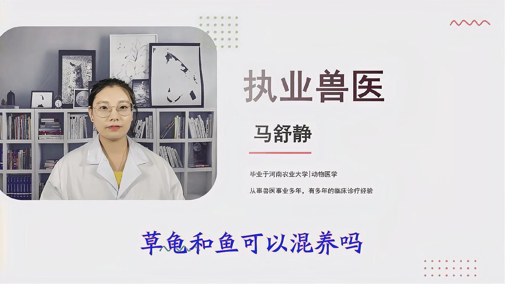 草龜和哪些魚可以一起養（草龜可以和什么魚一起養）