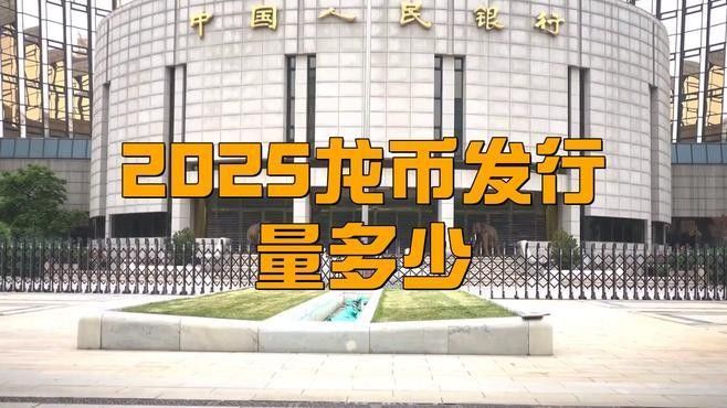 金龍幣哪個規格最受歡迎