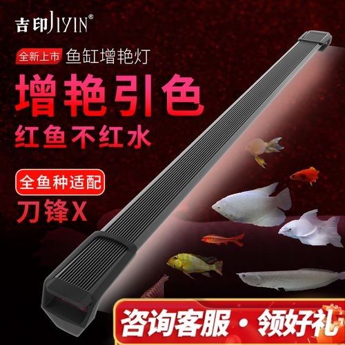 紅龍魚燈具價格范圍是多少（紅龍魚專用燈具價格）