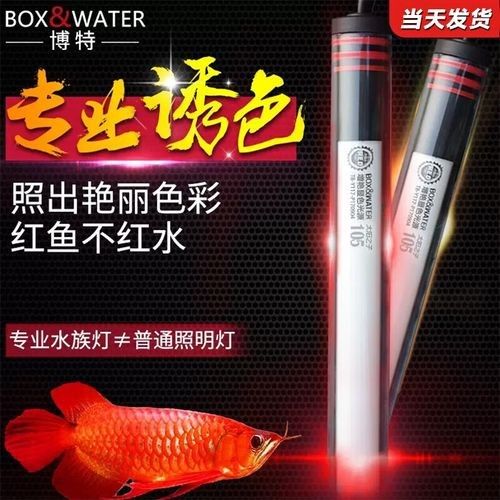 紅龍魚燈具價格范圍是多少（紅龍魚專用燈具價格）