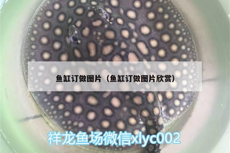 魚缸訂做圖片（魚缸訂做圖片欣賞）