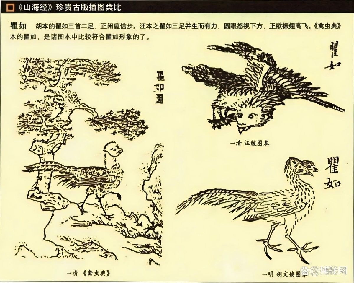 三排珠鱗是否為神話中的元素？（三排珠鱗是否為神話中的元素，）