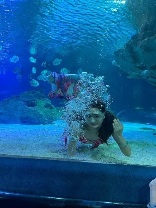 華錦龍魚水族世界有哪些表演？