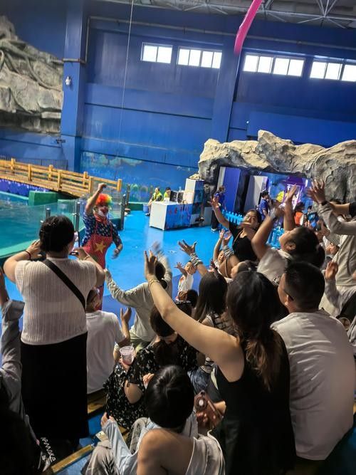 華錦龍魚水族世界有哪些表演？