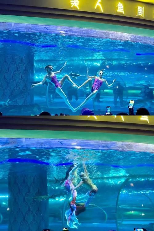 華錦龍魚水族世界有哪些表演？
