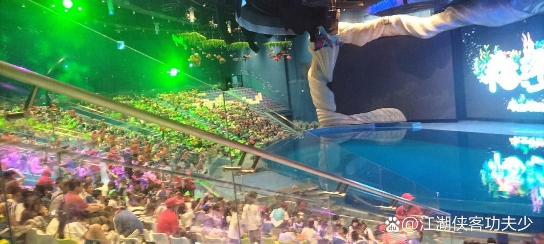 華錦龍魚水族世界有哪些表演？