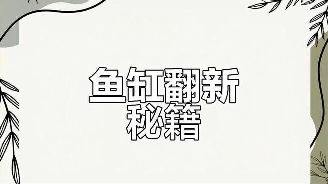 如何升級魚缸尺寸？（四海游俠笑江湖魚缸升級魚缸尺寸時局觀測站全解析）