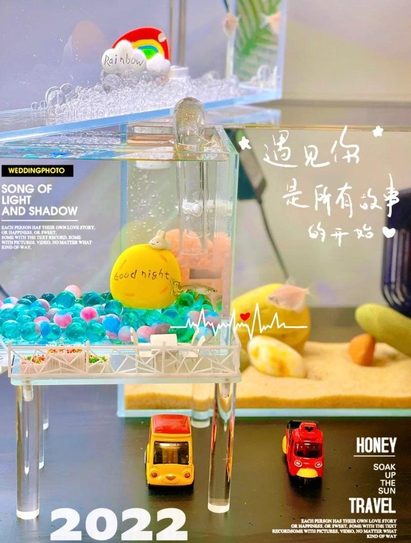 如何升級魚缸尺寸？（四海游俠笑江湖魚缸升級魚缸尺寸時局觀測站全解析）