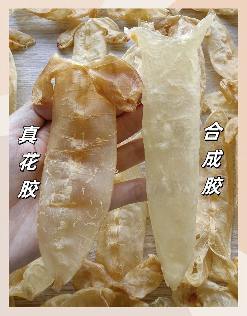 如何辨別真假大金龍魚膠？