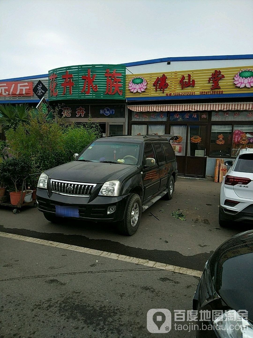 金州哪個水族館龍魚好？祥龍魚場龍魚（大連市金州區祥龍魚場）