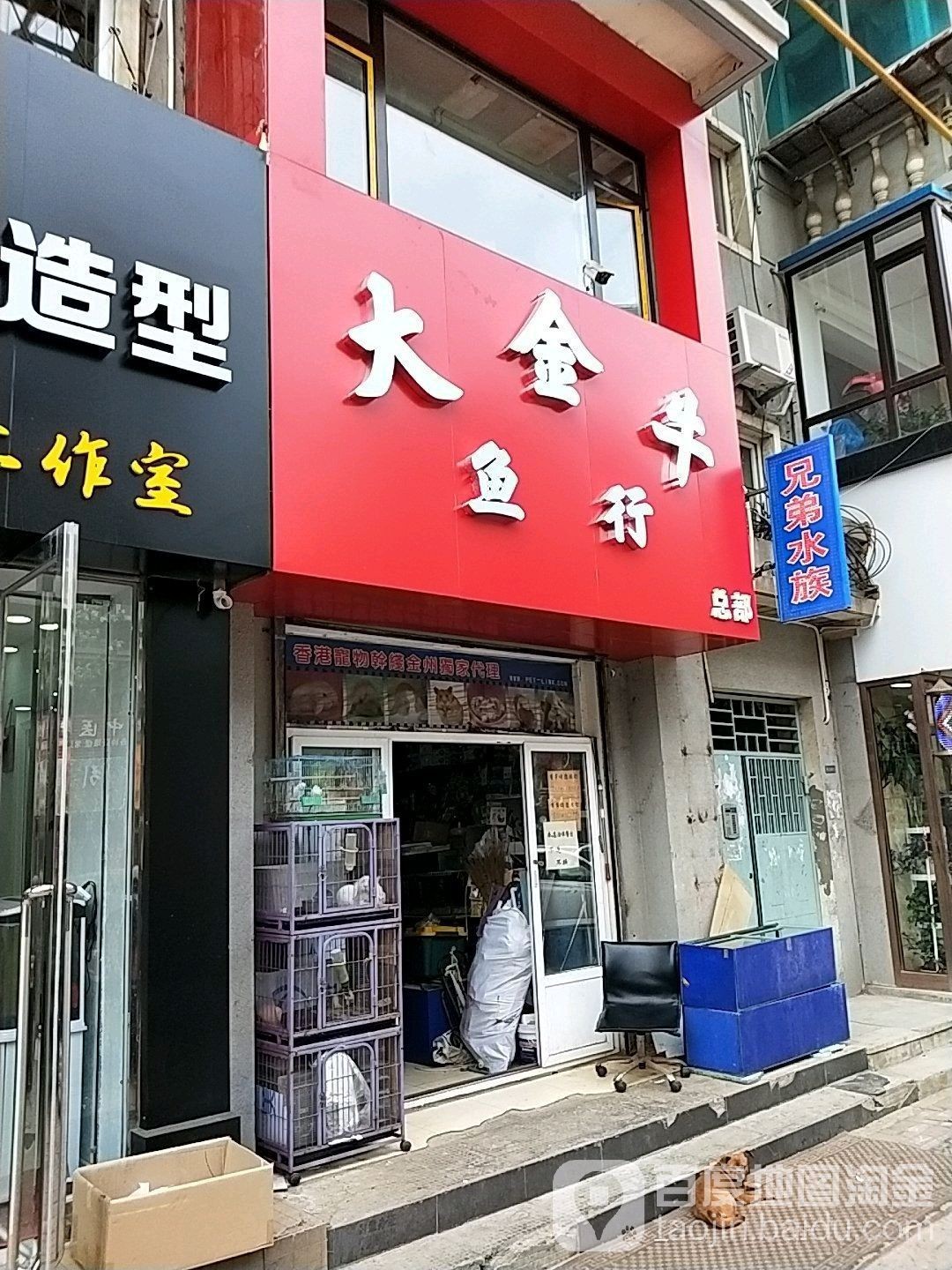 金州哪個水族館龍魚好？祥龍魚場龍魚（大連市金州區祥龍魚場）