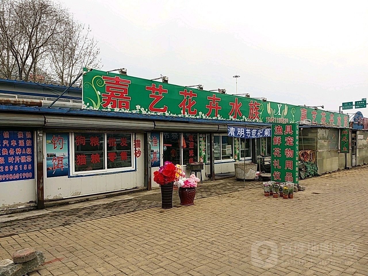 金州哪個水族館龍魚好？祥龍魚場龍魚（大連市金州區祥龍魚場）