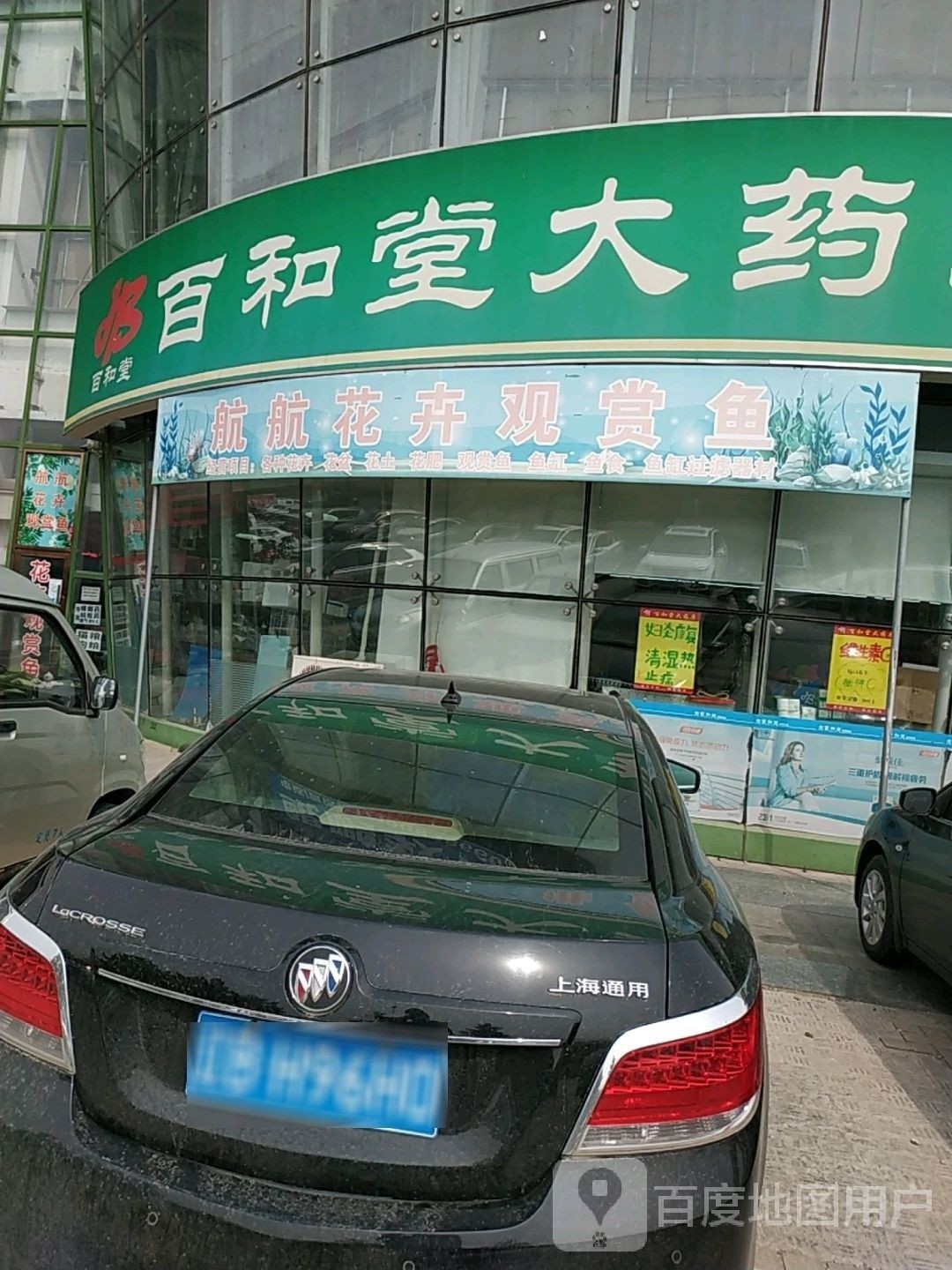 金州哪個水族館龍魚好？祥龍魚場龍魚（大連市金州區祥龍魚場）