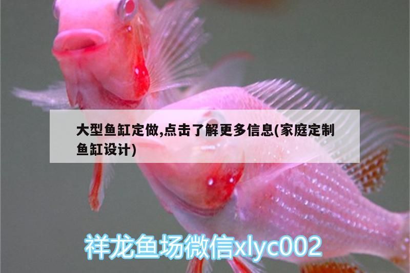 大型魚缸定做,點擊了解更多信息(家庭定制魚缸設計)