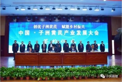 金龍魚疾病預防措施，金龍魚疾病預防措施介紹 金龍魚疾病預防措施，金龍魚疾病預防措施介紹 觀賞魚百科 第1張