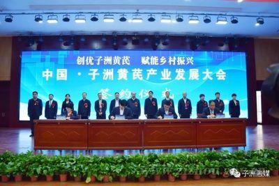 金龍魚疾病預防措施，金龍魚疾病預防措施介紹 金龍魚疾病預防措施，金龍魚疾病預防措施介紹 觀賞魚百科 第5張