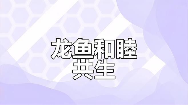 不同品種龍魚混養(yǎng)需要注意什么 不同品種龍魚混養(yǎng)需要注意什么 龍魚百科 第5張