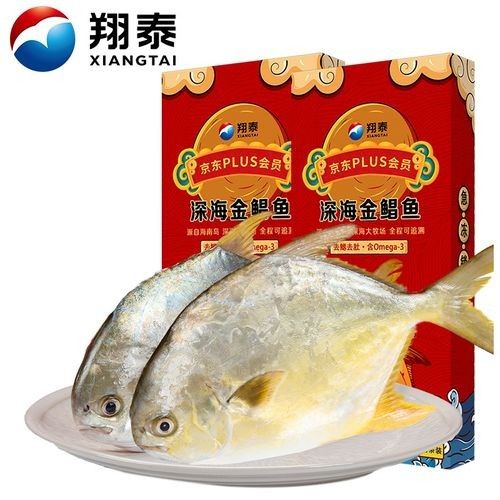 鯧魚最好的三個品種（金鯧魚vs銀鯧魚）