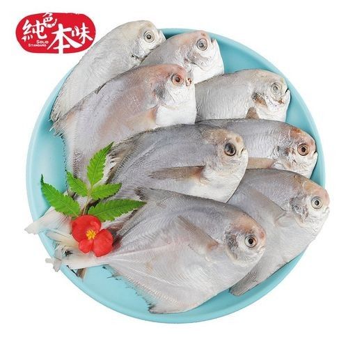 鯧魚最好的三個品種（金鯧魚vs銀鯧魚）